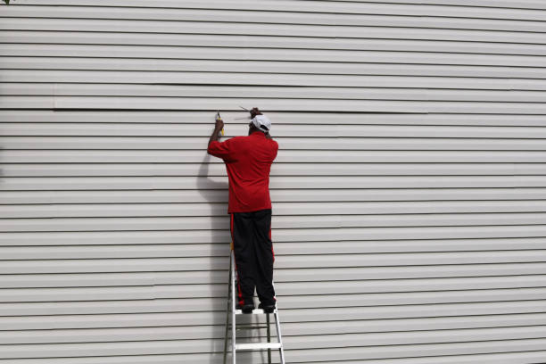 Affordable Siding Repair and Maintenance Services in Hamilton, IN